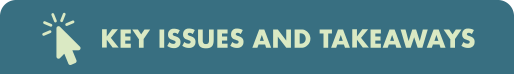 Key Issues and Takeaways